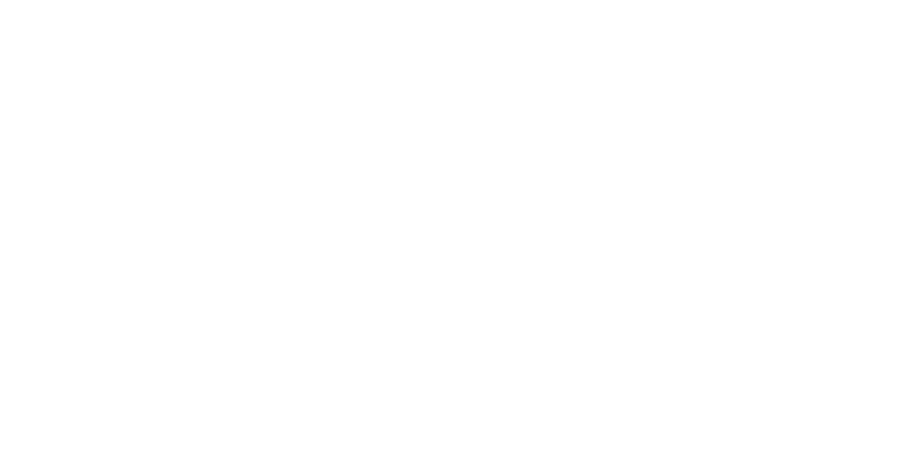 FLY MEDIA